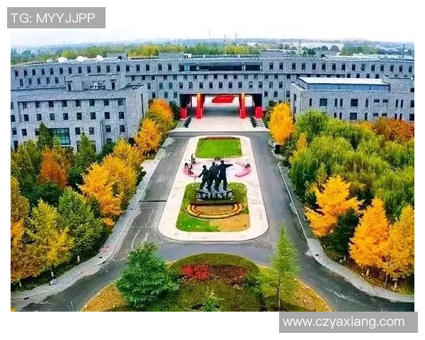 深圳排球队的崛起之路:从默默无闻到总决赛的辉煌历程